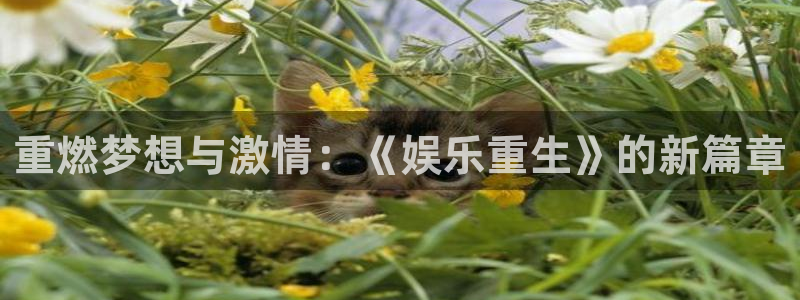 太阳成集团tyc9728